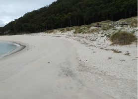 Predición para praias